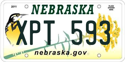 NE license plate XPT593