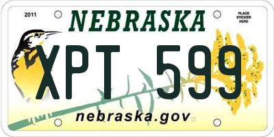NE license plate XPT599