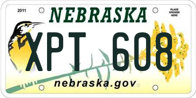 NE license plate XPT608