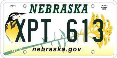 NE license plate XPT613