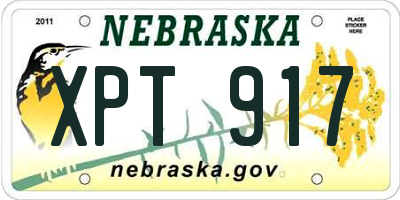 NE license plate XPT917