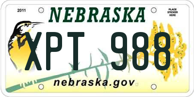 NE license plate XPT988