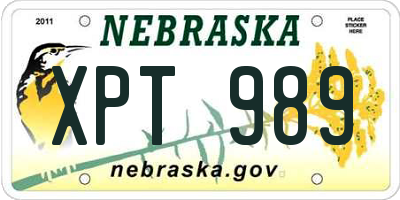 NE license plate XPT989