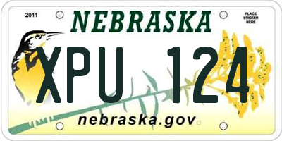 NE license plate XPU124
