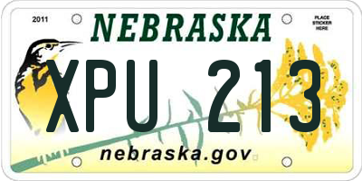 NE license plate XPU213