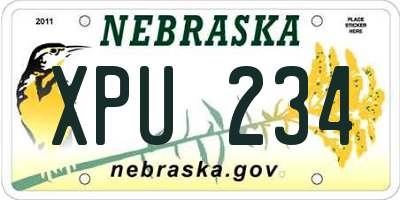 NE license plate XPU234