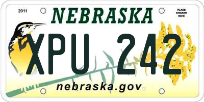 NE license plate XPU242