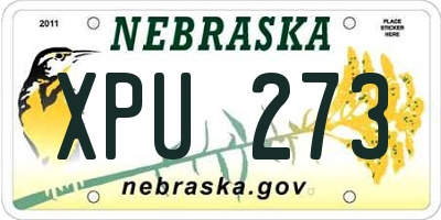 NE license plate XPU273