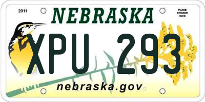 NE license plate XPU293