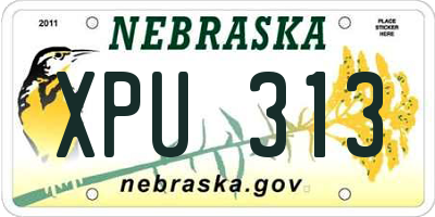 NE license plate XPU313