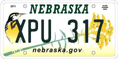 NE license plate XPU317