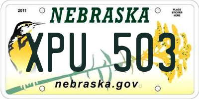 NE license plate XPU503