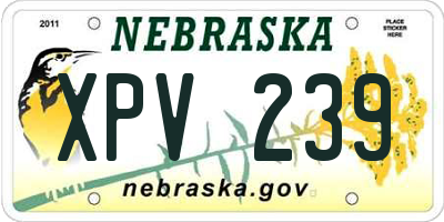 NE license plate XPV239
