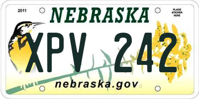 NE license plate XPV242