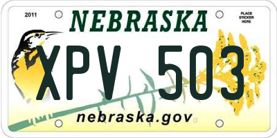 NE license plate XPV503