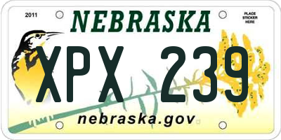 NE license plate XPX239