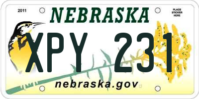 NE license plate XPY231