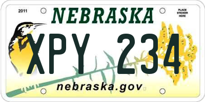 NE license plate XPY234