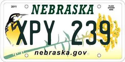 NE license plate XPY239