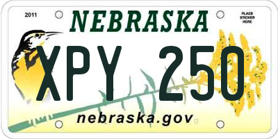 NE license plate XPY250
