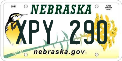 NE license plate XPY290