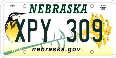 NE license plate XPY309