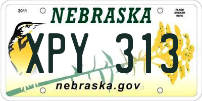 NE license plate XPY313