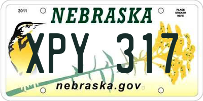 NE license plate XPY317