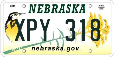 NE license plate XPY318