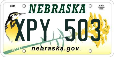 NE license plate XPY503