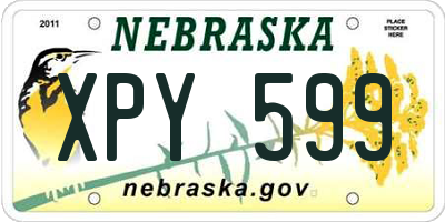NE license plate XPY599