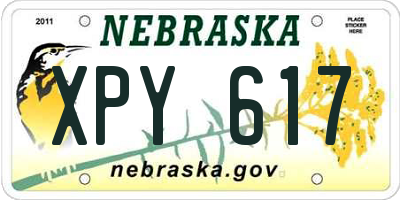 NE license plate XPY617