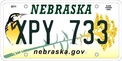 NE license plate XPY733