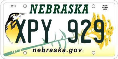 NE license plate XPY929
