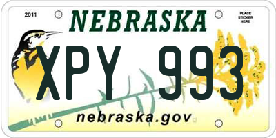 NE license plate XPY993