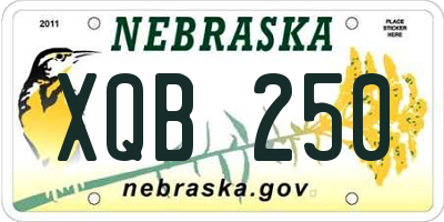 NE license plate XQB250