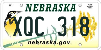 NE license plate XQC318