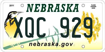 NE license plate XQC929