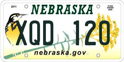 NE license plate XQD120