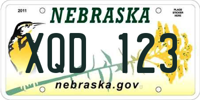 NE license plate XQD123