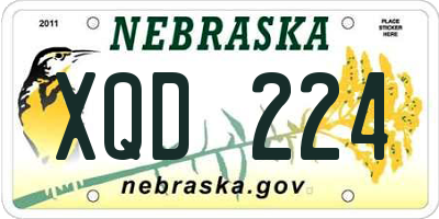 NE license plate XQD224