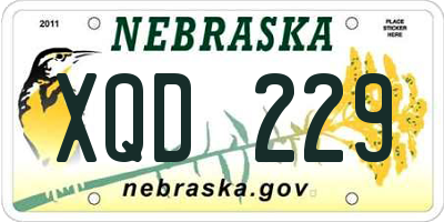 NE license plate XQD229