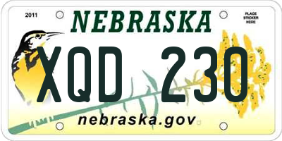 NE license plate XQD230