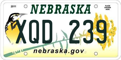 NE license plate XQD239
