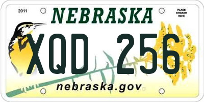 NE license plate XQD256