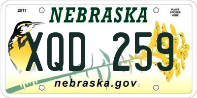 NE license plate XQD259
