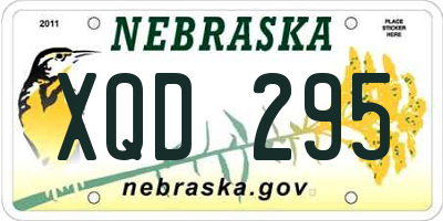 NE license plate XQD295
