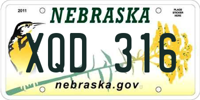 NE license plate XQD316