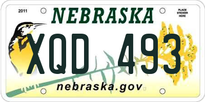NE license plate XQD493