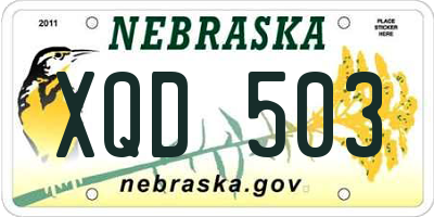 NE license plate XQD503